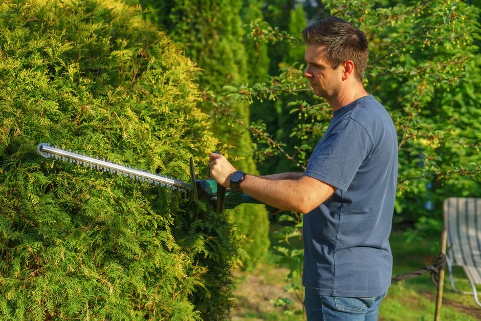 Jardin méditerranéen entretenu — Sud Espaces Verts Béziers